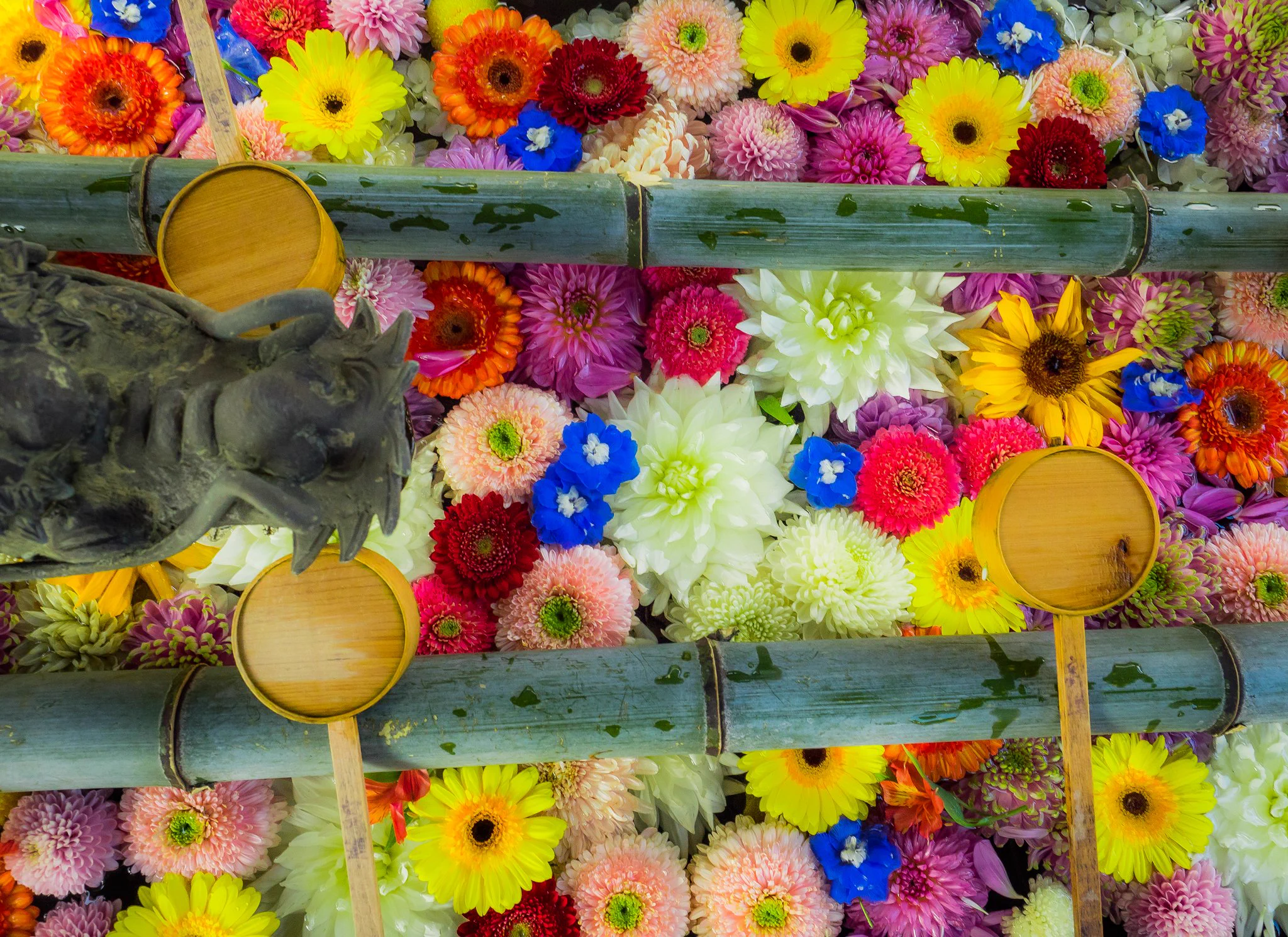 秋の楊谷寺。 小さな世界に広がる芸術を楽しめる素敵な写真。