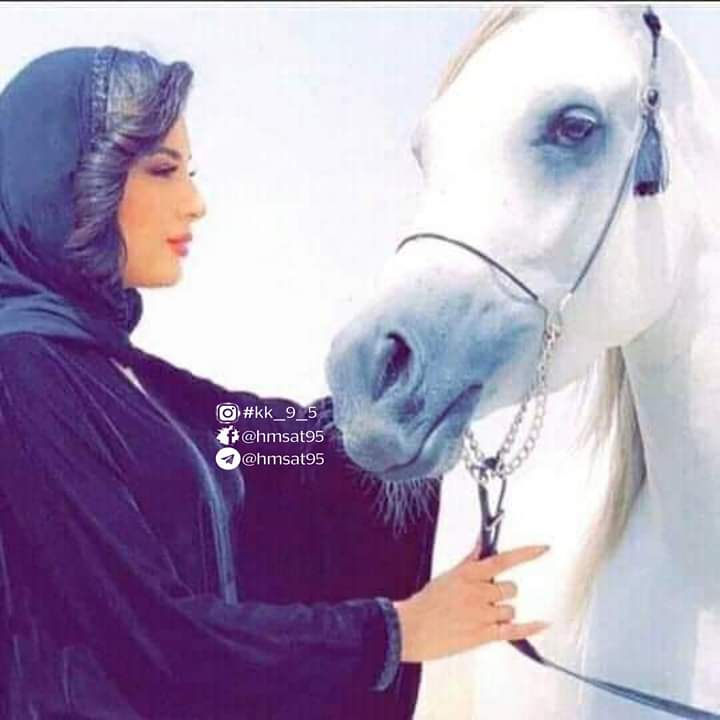 سيدة المجهول💜 tweet media