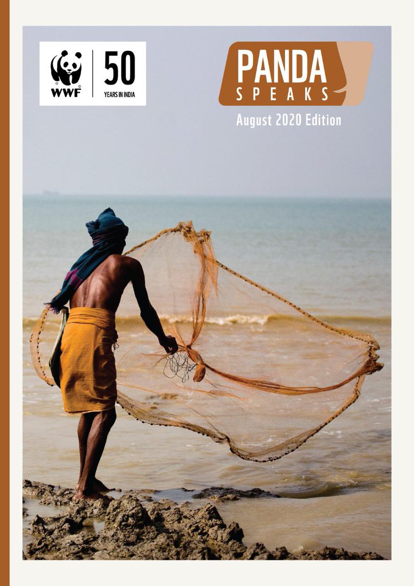 aishwarya_dp's tweet image. 📲 Sneak peek into @WWFINDIA 
 #PandaSpeaks  flip-book newsletter bringing in latest stories from the field 🌳🌾🎍, important wildlife conservation news 🐅🦟🐘🦏 &amp;amp; 🗣human-impact stories, among others - #Just4U . #conservation #4Nature4Us 
❇️Read here 👇🏼bit.ly/2Rzbls7