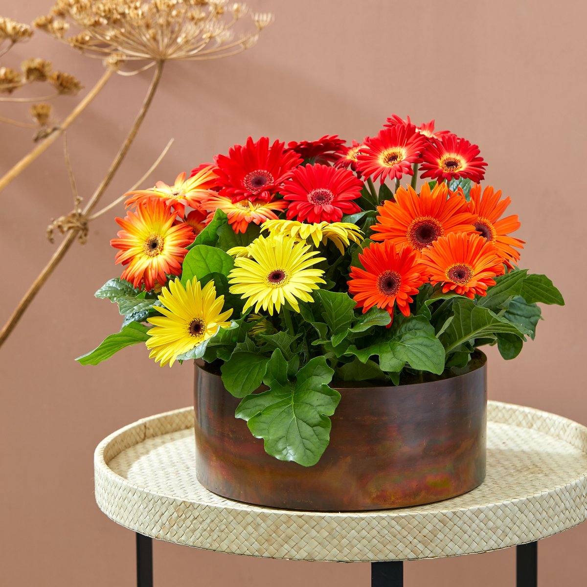 hilverdaflorist's tweet photo. Feel that crisp air? That means Autumn is here! Create a cosy indoors with our Flori Line Autumn Mix. Our best varieties put together in a mix of warm colours and large flowers.
-
#Gerbera #potplant #FloriLine #HilverdaFlorist #interior #inspiration #flowers #cosy #autumn https://t.co/vvwJhP8fEV