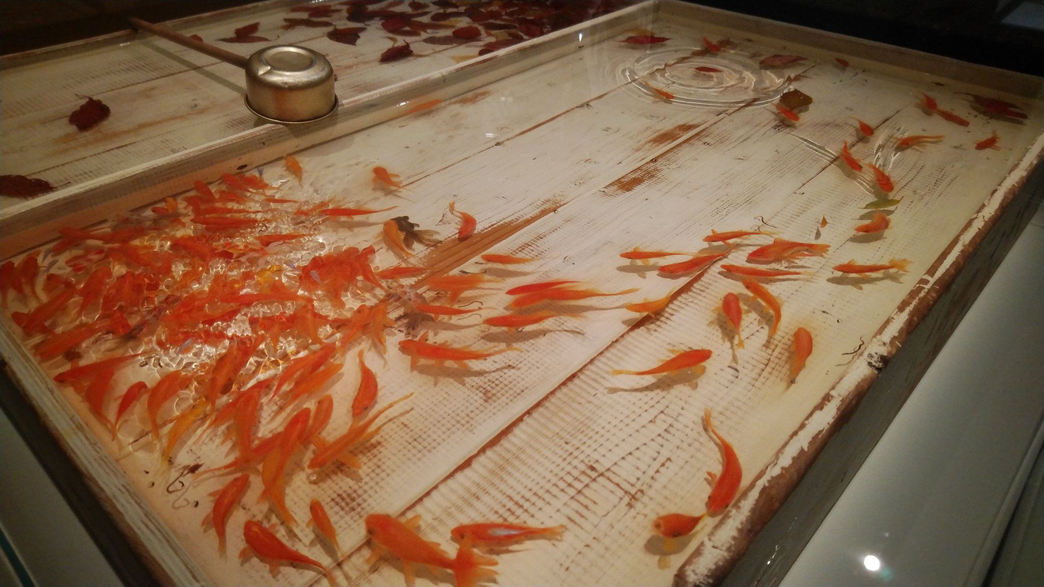 松崎貴之 金魚絵師 深堀隆介 百舟 ももふね 四つの桶 桜升 命名 淡紅 ただただ一つ欲しい 金魚 の下に照明が落とした影が出来ることでいっそう 泳ぎ回る金魚たちを瞬間的に時間を止めて切り取ったようにしか見えない T Co