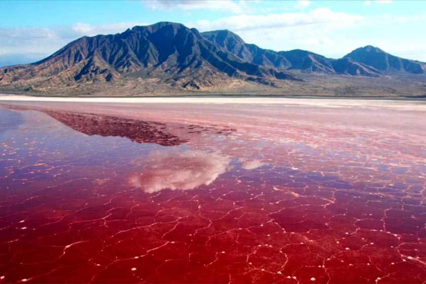 IRANinSriLanka's tweet photo. The #Lipar Lagoon, also known as the Pink #Chabahar Lake, is one of the spectacular attractions in Chabahar, a specific lagoon in #Sistan and #Baluchestan Province in southern #Iran https://t.co/uZWbbsDllD