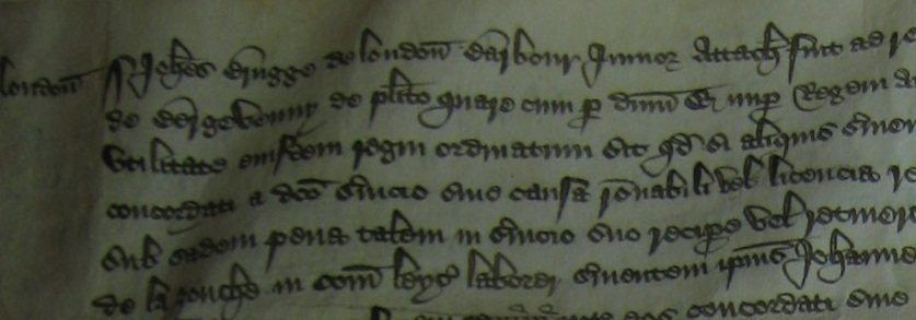 (3) I didn't pay much attention. But I was then searching through Common Pleas records for London cases and found that in 1423, Joan was plaintiff in a case brought under the Statute of Labourers against a servant called William Warner. She brought him down from her manor in