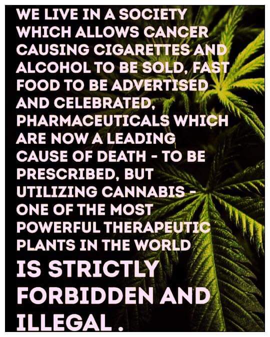 Norstackk's tweet image. :&amp;gt;}_~#WakeNBake #StonerFam #StonerCircle #MMOT #IAmCannabis #WeAreCannabis #FuckCancer #StayWoke &amp;amp; ALL #STONERS ~HappyThursDazed~