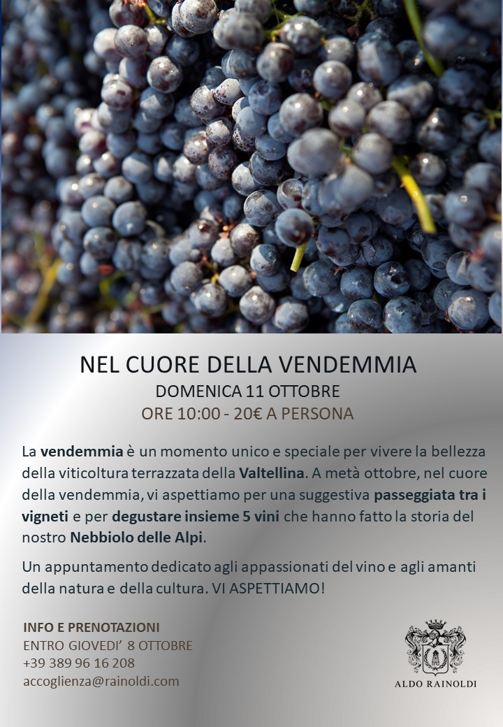 RainoldiVini's tweet photo. PRENOTA ORA! 
Posti limitati.
#EventiValtellina #VendemmiaValtellina #Nebbiolo #DegustazioniValtellina #DegustazioniNebbiolo #AldoRainoldi #ViniRainoldi https://t.co/bE4jUL8uQx
