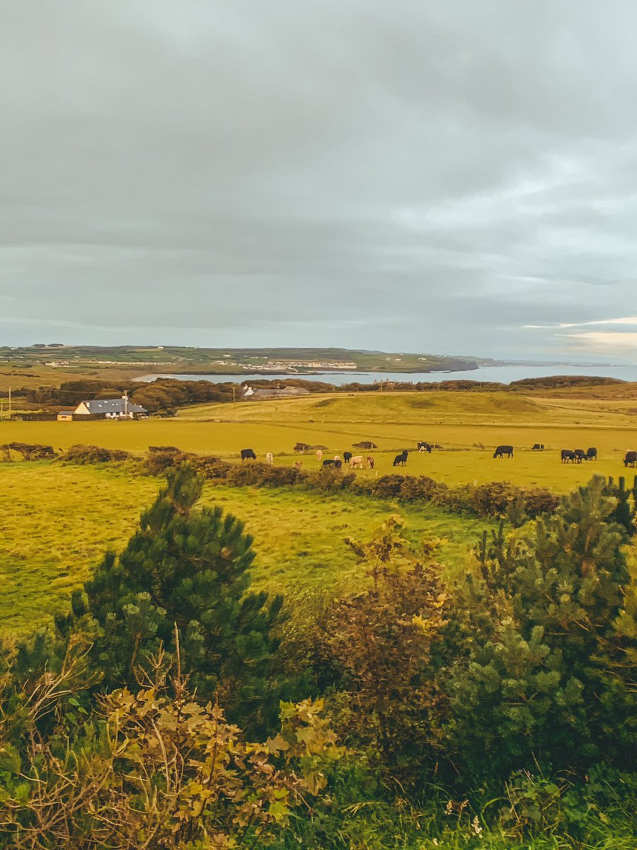 PetiteBlondine's tweet photo. I went to the Causeway Coast for a week’s holiday, walked down near-deserted beaches, had a splash of whiskey with every breakfast and drank local beer in a roll top bath: https://t.co/Z46v5EkUky https://t.co/Wk5kxyxEtt