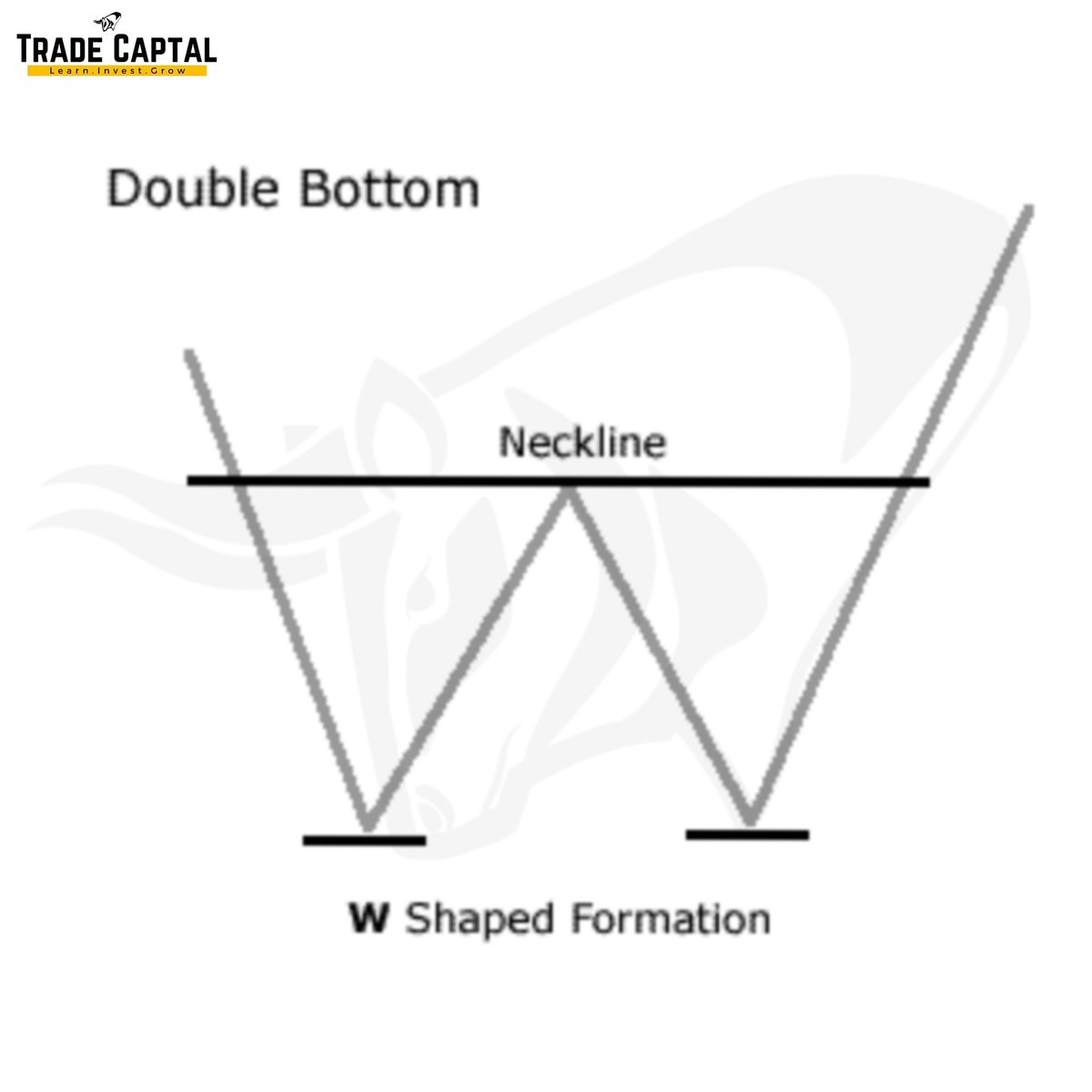 Tradecapital5's tweet photo. The double bottom looks like the letterW.The twice-touched low is considered a support level.
The advance of the first bottom should be a drop of 10% to 20%, then the second bottom should form within 3% to 4% of the previous low, and volume on the ensuing advance should increase https://t.co/uA2iAVXdax