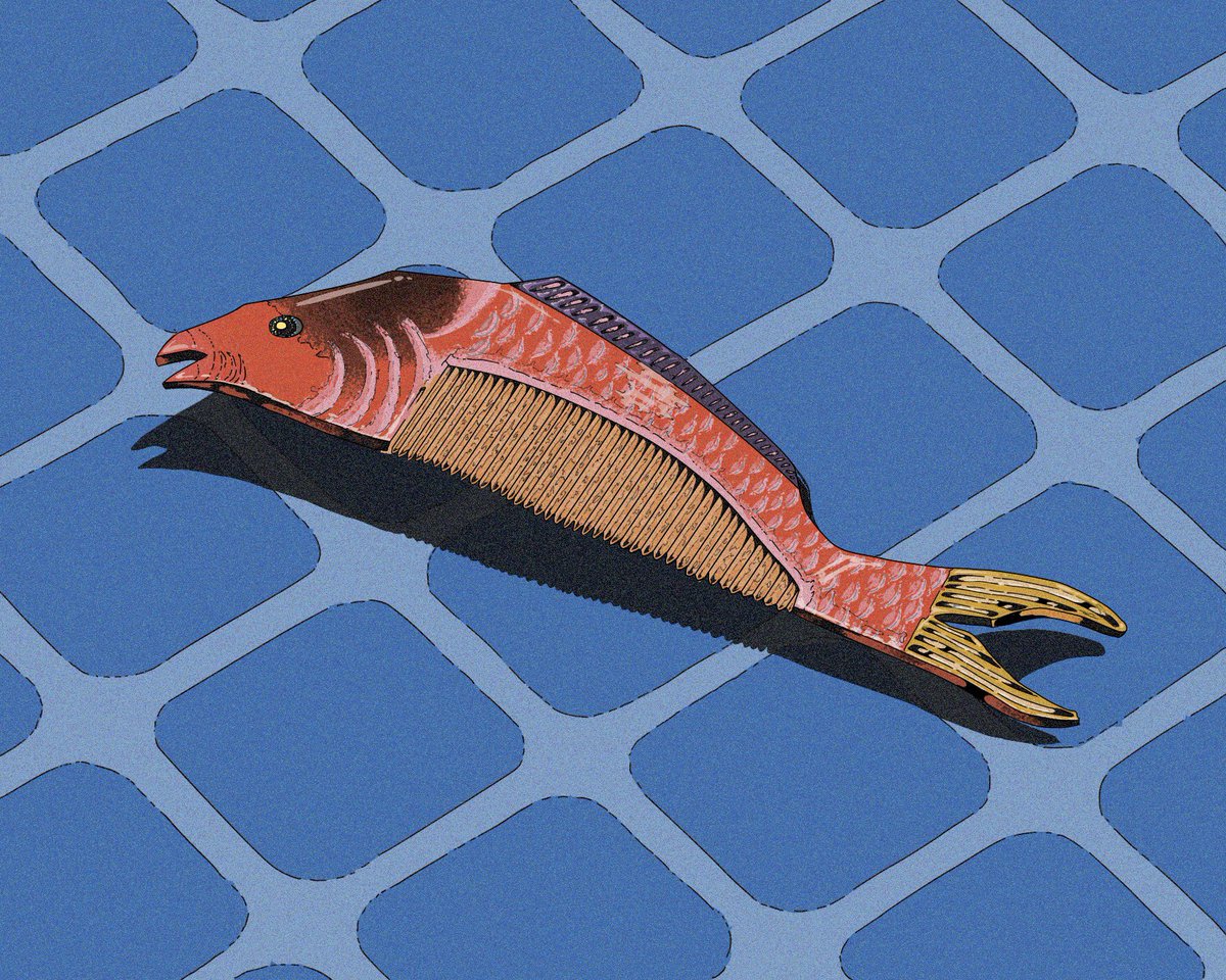 no humans fish shadow animal animal focus tiles water  illustration images