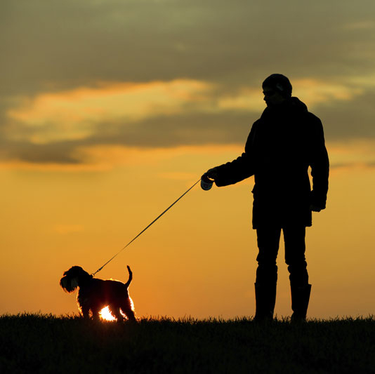 Zena Conkey tweet media