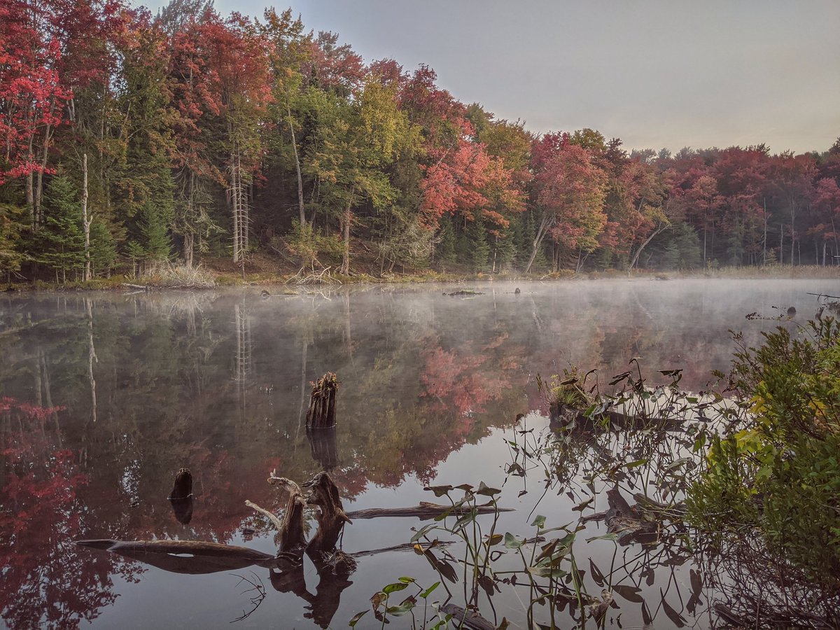 Tolerated13's tweet image. Fall colors and lake steam in morning light...#adklife #NYLovesFall #fallfoliage