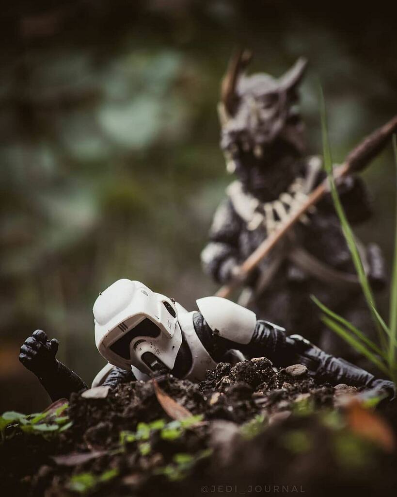 StarWarsTBS's tweet image. This turned out to be a @jedi_journal Triple! Ending with this killer (bear) of a pic!
💥✌🏻💥
#ewok #teebo #bikerscout #endor #returnofthejedi #starwars #starwarstheblackseries #starwarsblackseries #blackseries6inch #starwars6inch #starwarstoys #lucasf… instagr.am/p/CFhFkrPnSL2/