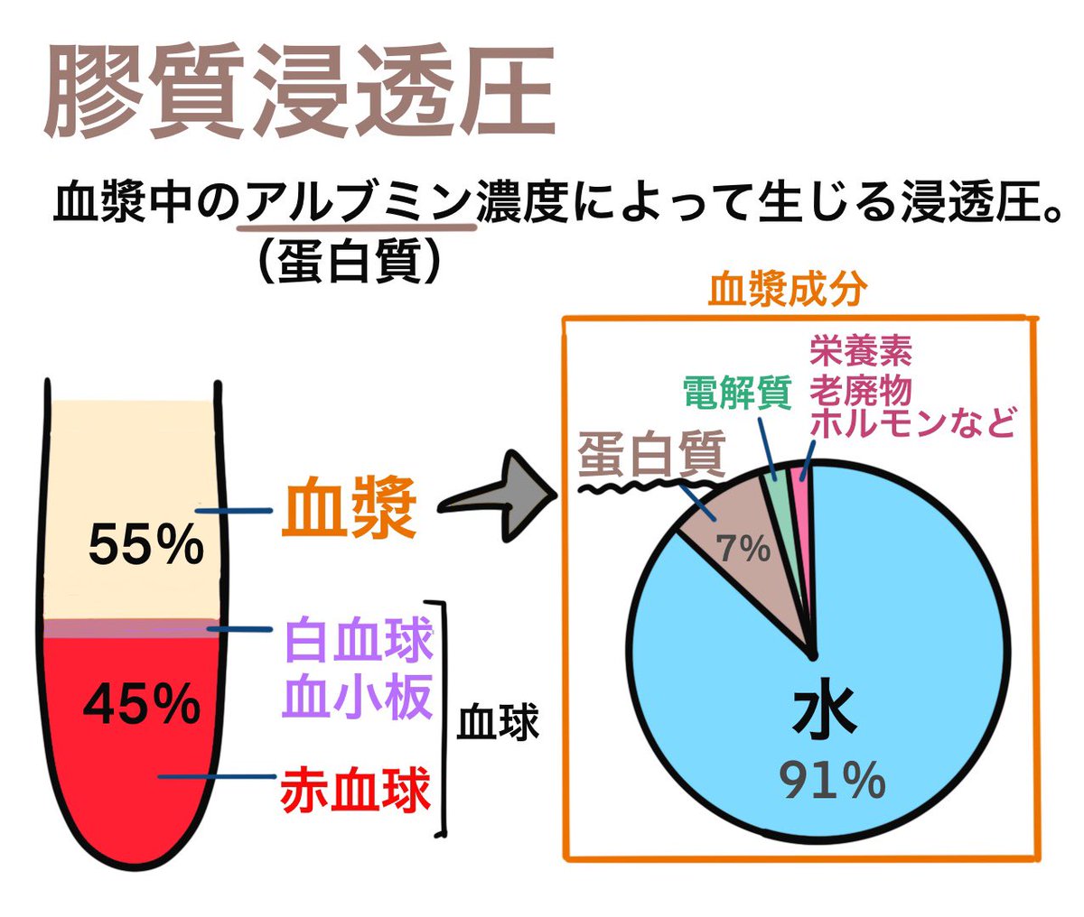 膠質 浸透 圧 と は