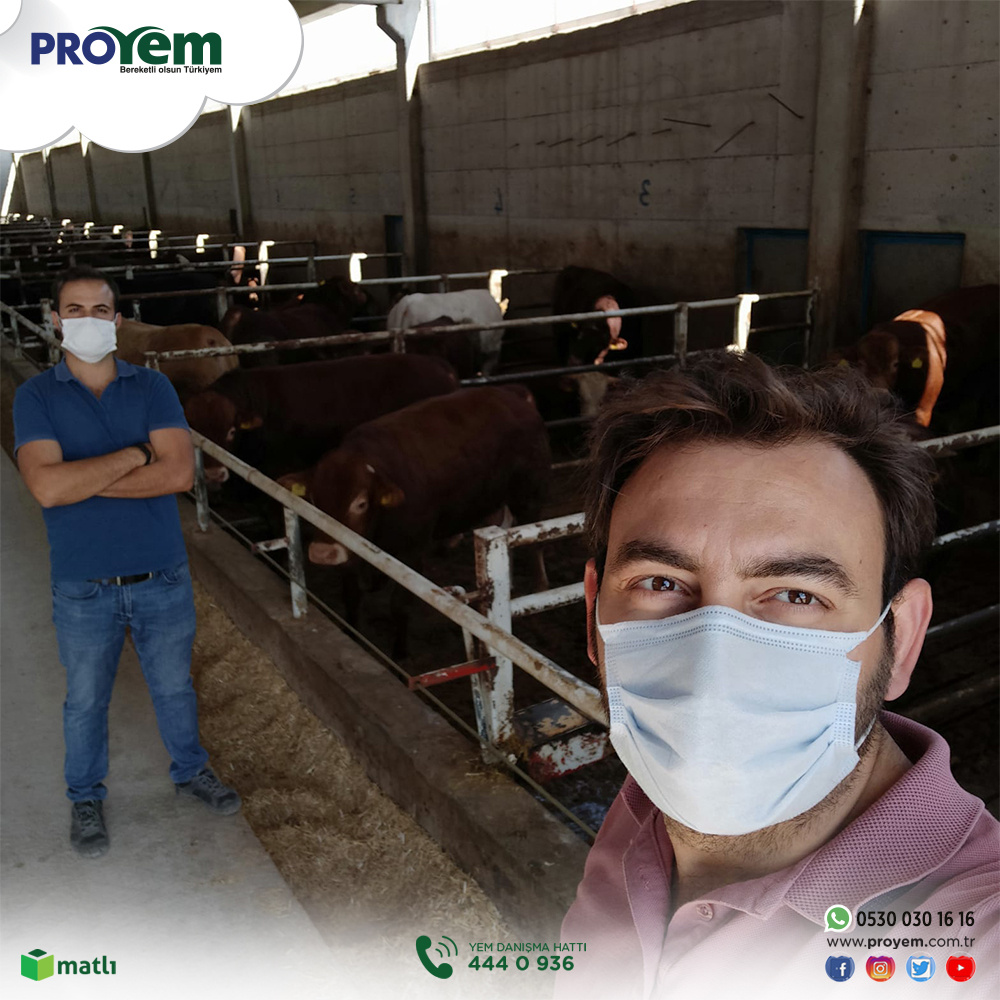 proyemmatli's tweet photo. Ankara Polatlı'da bulunan Süleyman Erten Besi İşletmesini Bölge Satış Yöneticimiz Mehdi Uçak ziyaret etti. Rasyon ve hayvan kontrolleri yapıldı. Bereketli Olsun!⠀
⠀⠀⠀⠀
#hayvancılık #besicilik #çiftlik #çiftlikgrubu #besiyemi #büyükbaş #yem #Proyem #Ankara #BereketliOlsun https://t.co/0HcDibrNwY