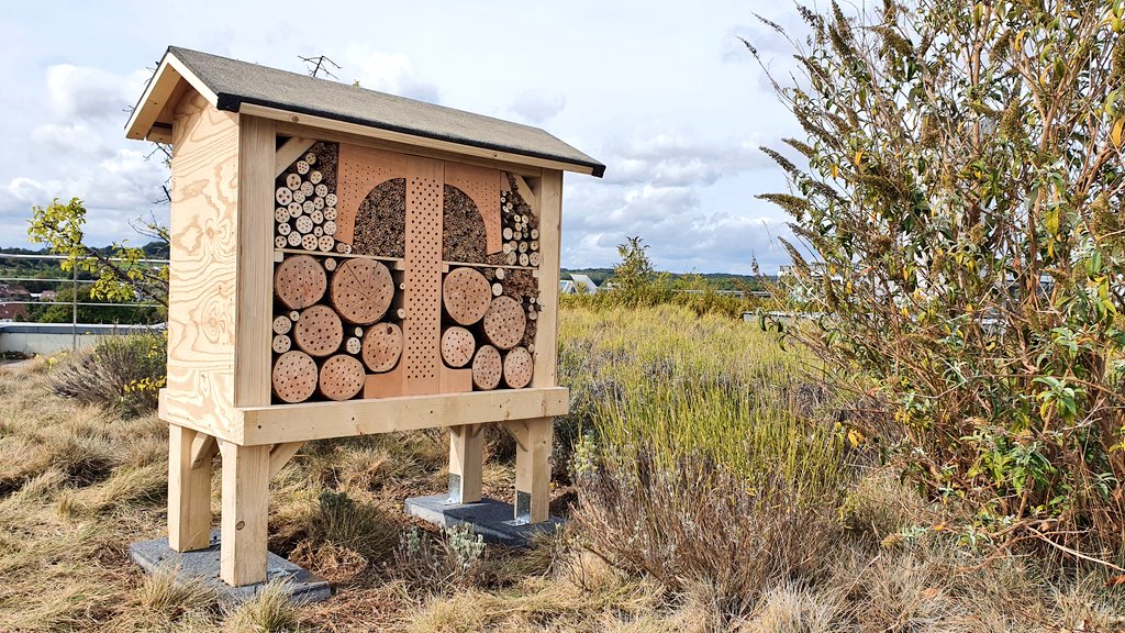 And here's the team behind the initiative. Too bad not everyone could take part today...

Hey @JuSchindera whats going on in Bonn?

#EvenStrongerTogether
#telekomwall #DIY