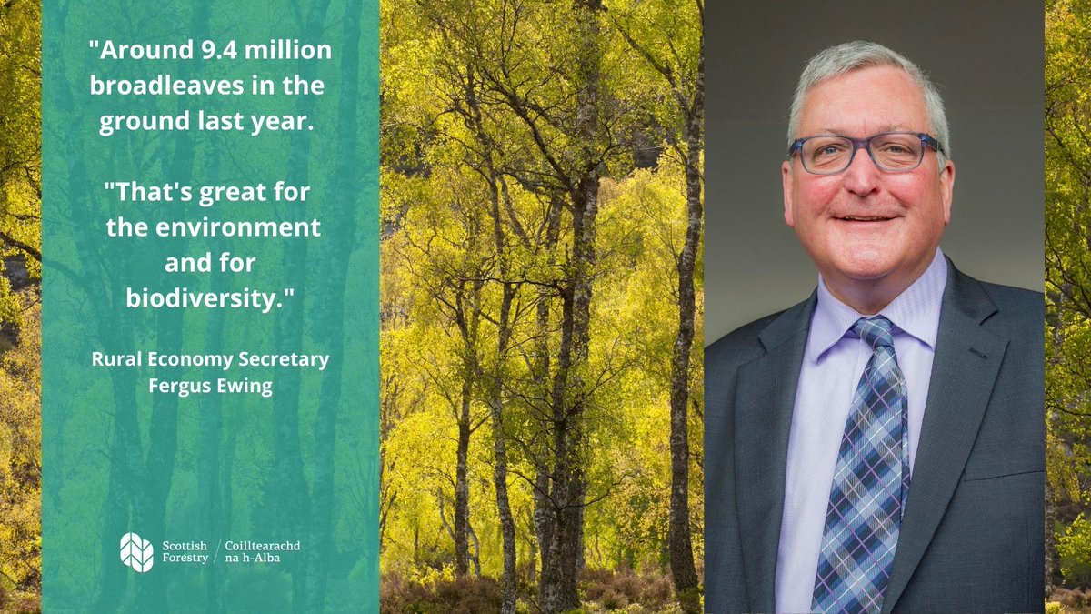 Stats reveal that last year, Scotland created 180 ha more native woodland than previously thought. That’s around 9.4 million broadleaves in the ground last year - great for the environment, biodiversity and a #greenrecovery. #targetmet #nativewoodland forestresearch.gov.uk/research/fores…