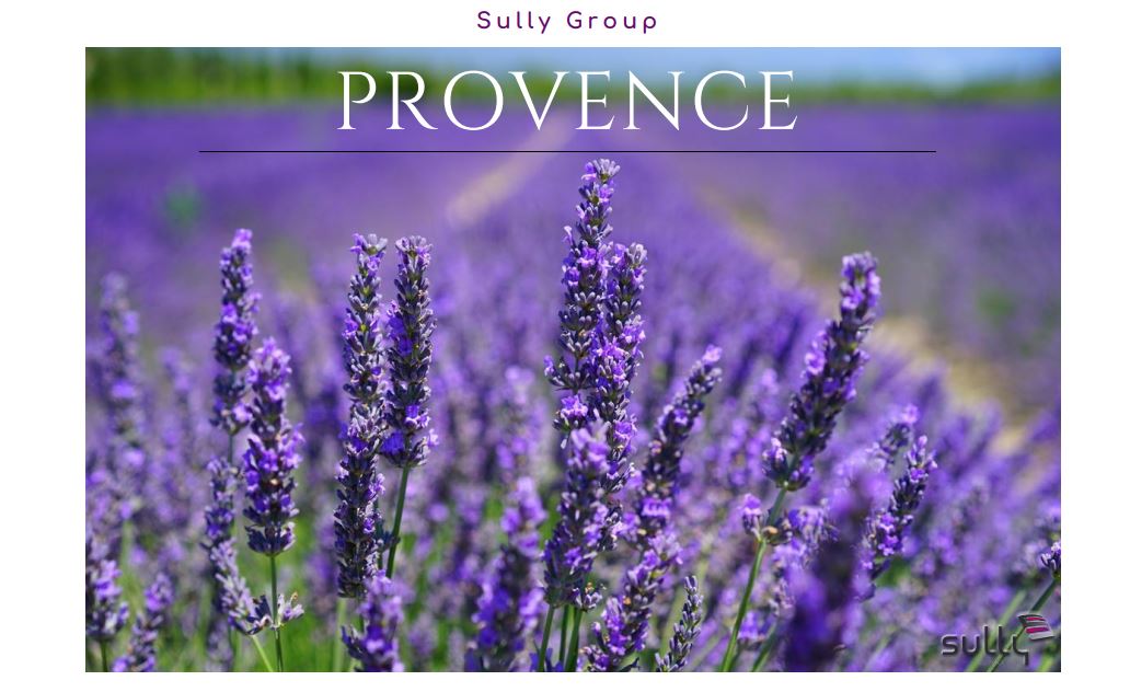 SullyGroup's tweet photo. Nos Sully Makers de l'agence Provence ont le soleil dans le cœur ! 🌞 #SullyGroup #SullyWell #SullyMania #esn https://t.co/oXZvEEGIB0