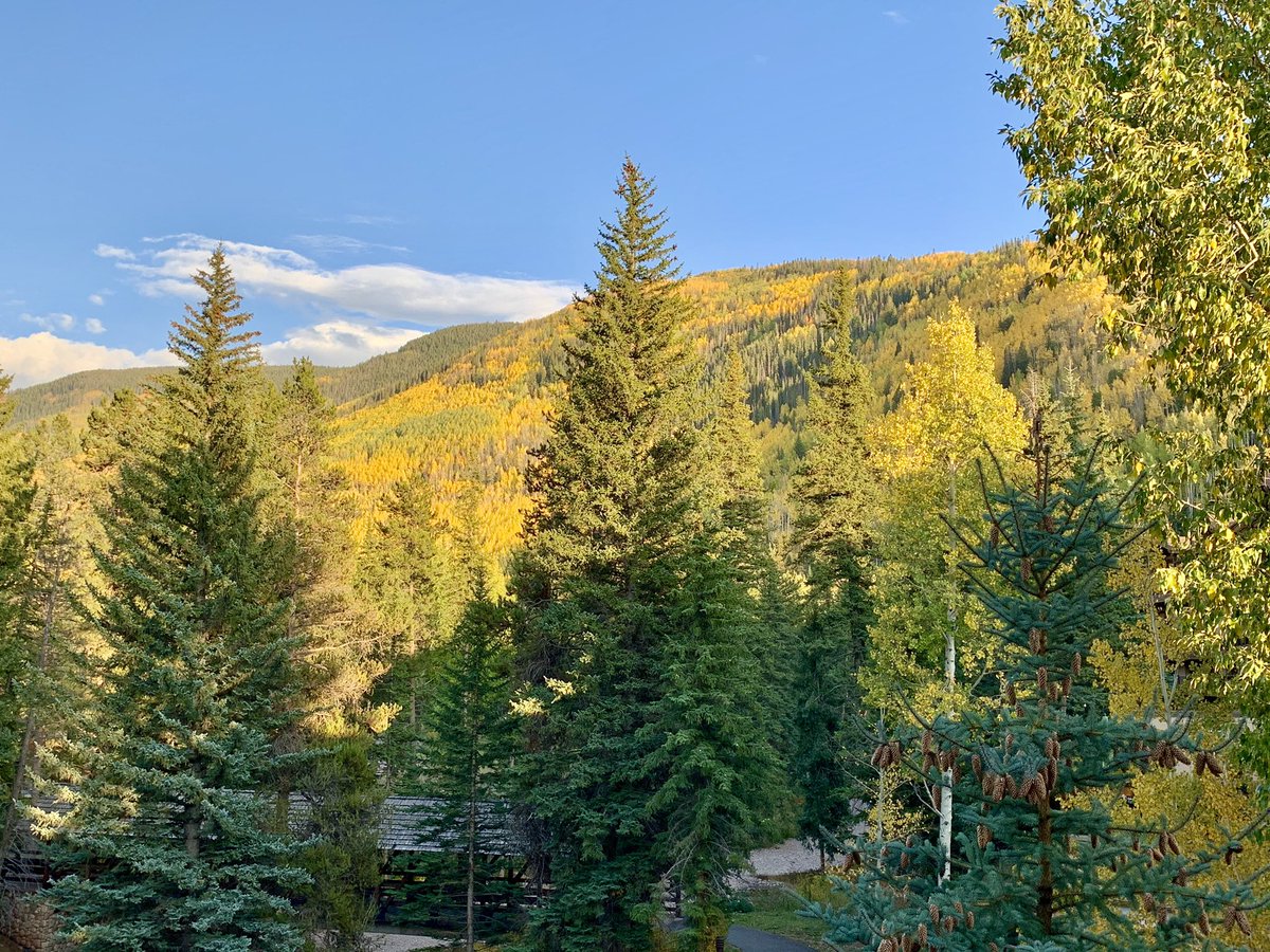 JenniferBroome's tweet photo. Doing morning TV live shots with a view from @ManorVailLodge @DiscoverVailCO @vailmtn! #cowx #fallinvail https://t.co/75je2nEHB4