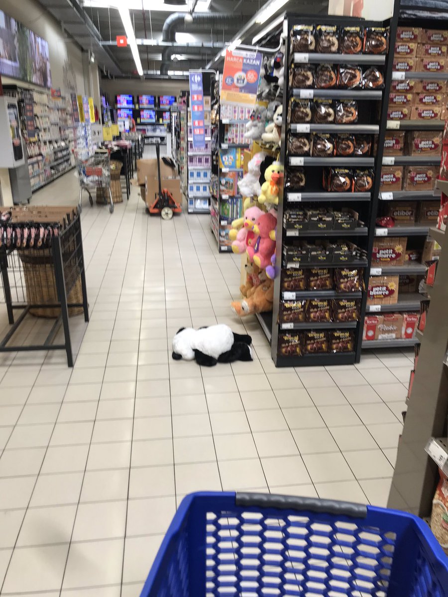 Carrefourda panda intiharları😱😱😱