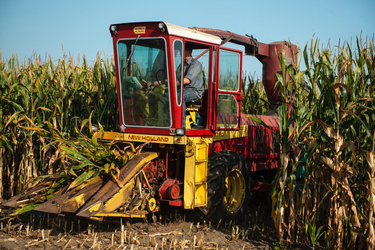 De Innovatie Coöperatie tweet media