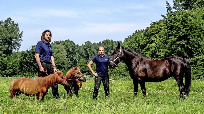 Dierbescherming's tweet photo. โEen dier is geen iPad die je weg kan leggen wanneer je het zat bentโ, waarschuwt collega Lisanne de Boer vandaag bij @telegraaf 'Paardenredders ruim 1300 keer per jaar in actie' https://t.co/Ulxxt2Gw6W. #helponsredden https://t.co/8TzjND6bnV