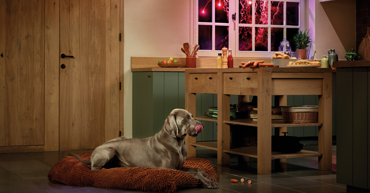 Families could be celebrating #Bonfirenight 2020 at home. Help your customers &amp; their pets prepare with #BeapharCaniComfort Calming Range. Products use #pheromone technology to reassure dogs during stressful situations. Contact your Sales Exec for more info.