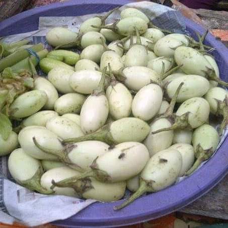Terung intaluk/hintalu. Hintalu or intaluk means egg. Terung is eggplant. Kalimantan people call it terung intaluk because it looks like egg.