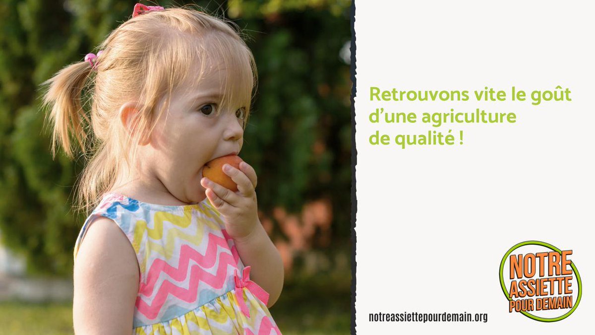 STOP MONSANTO BAYER tweet media