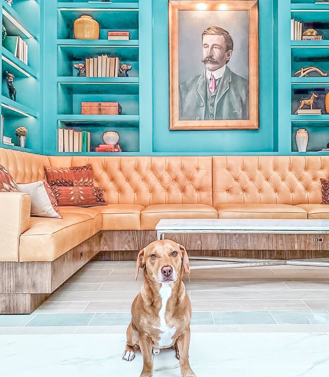 Dapper dogs stay at Chateau Elan. Book your pet-friendly accommodations in the foothills of North Georgia.