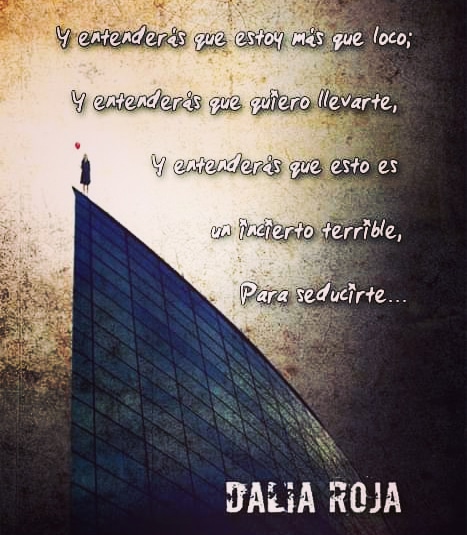 Dalia Roja tweet media