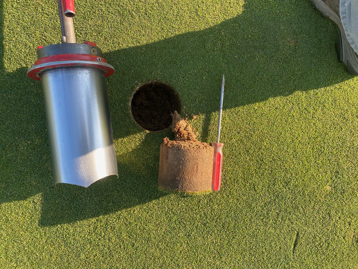 Perfect time of year for building roots in Southern Maine.  If it has roots, it needs Radiate! <a href="/growloveland/">Loveland Products</a>