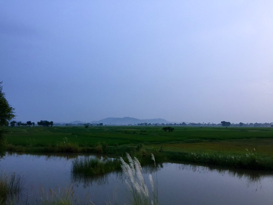 tanwer_m's tweet photo. Village.💚 https://t.co/hlOHa6HhhE