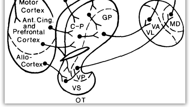 Dan Wesson tweet media