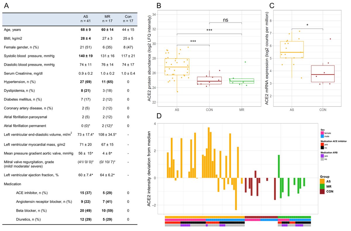 HyperAHA's tweet photo. Proteomic analysis reveals upregulation of ACE2, the putative SARS-CoV-2 receptor in pressure- but not volume-overloaded human hearts. https://t.co/CuWKSIFDQg https://t.co/xVQhfcR6NA