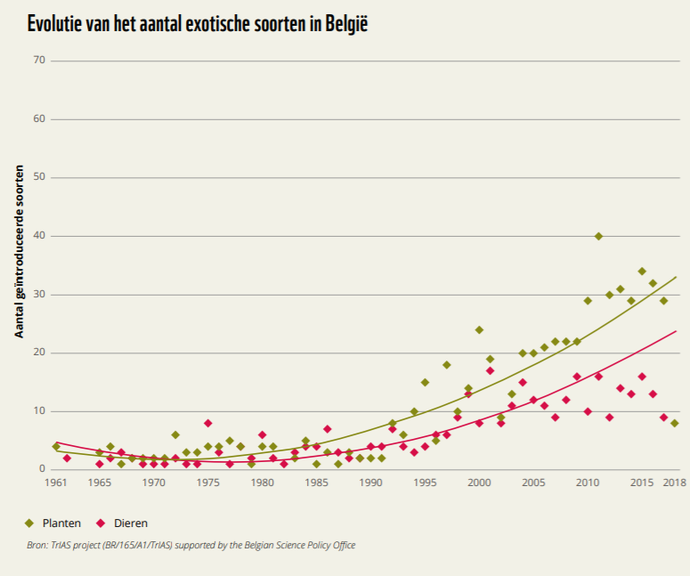 Tim Adriaens tweet media