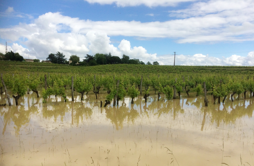 RiskAquaSoil's tweet photo. We are designing resilient production systems under future agro-climatic conditions and the transition trajectories from the current situation to future systems in order to quantify the transition risks and the most interesting trajectories. #ChamberofAgriculture (#CDA24) https://t.co/bw6oGQJ1nz