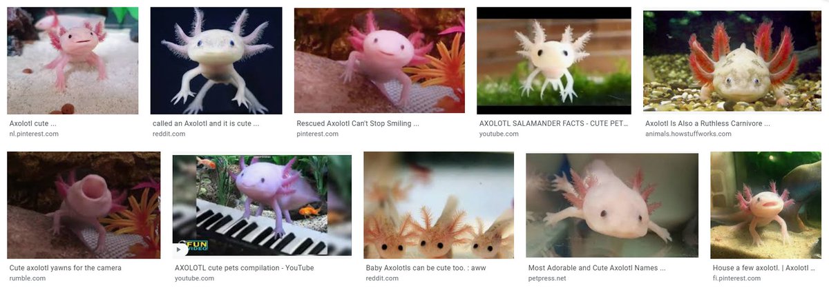 astel Hiatus This Is An Axolotl astel Hiatus This Is An Axolotl