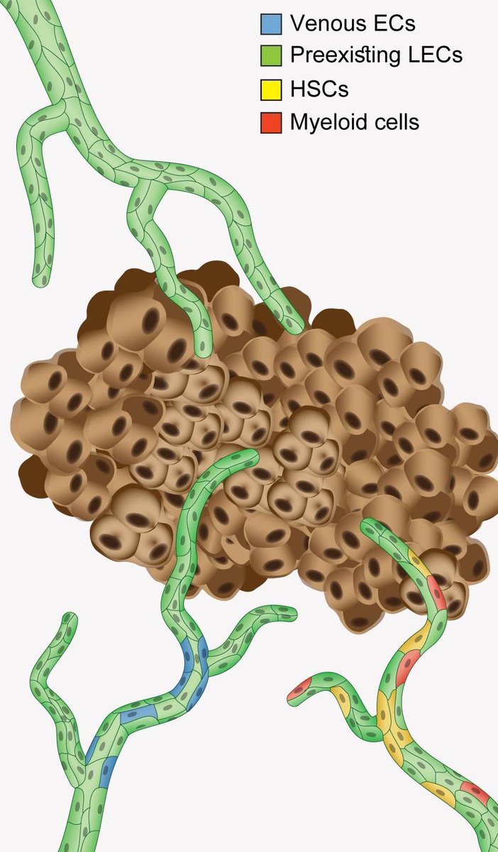 Yaniv Lab-Weizmann Institute tweet media