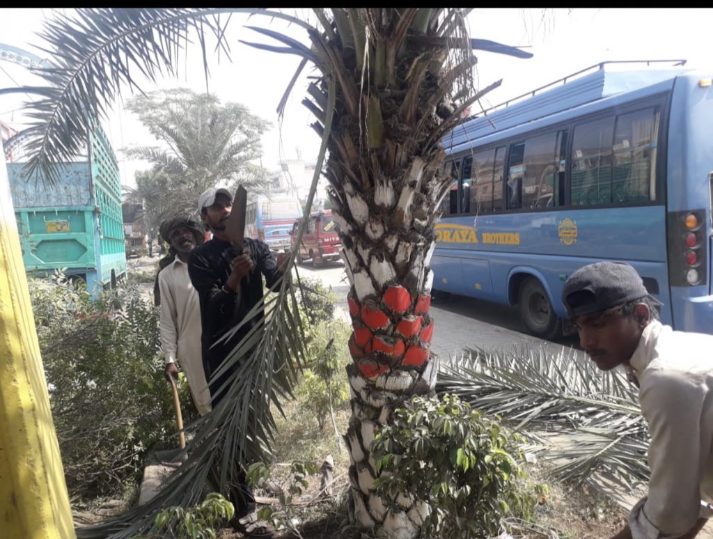 Dcsialkot1's tweet photo. Beautification drive under clean and green Punjab is in full swing in all Tehsils of Sialkot. Maintenance and rehabilitation of all important monuments, Chowks, and parks etc is underway. @GOPunjabPK https://t.co/bjwuoPpkL0