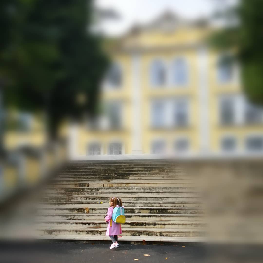 Verindipity's tweet photo. #firstdayofschool2020 https://t.co/4wZvdBi1it