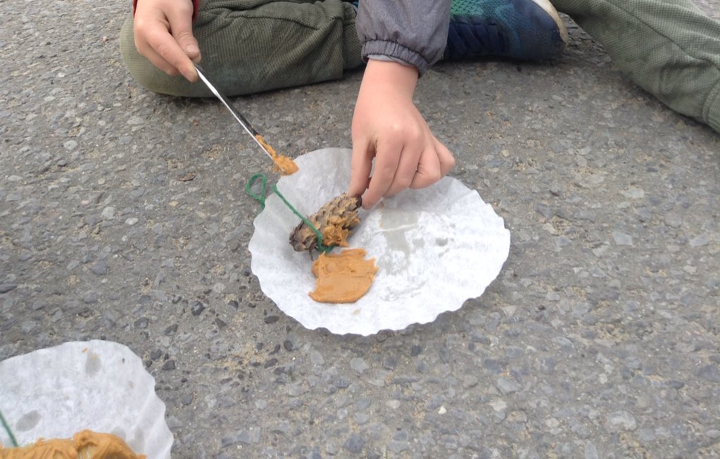 BaywoodSAP's tweet photo. Our Kinders made bird feeders this morning !
#feedingthebirds #wowbutter #pinecones https://t.co/1WOKetkJJn