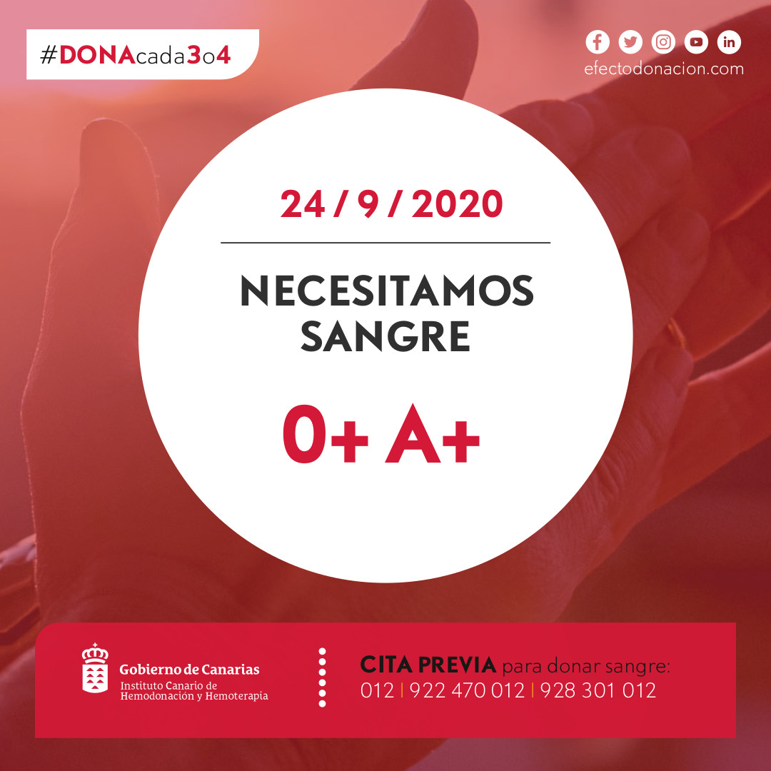 ichhCanarias's tweet image. 🔴🔴🔴 Necesitamos donaciones de todos los grupos, especialmente O+ y A+ 🩸 Si puedes #DonaSangre 🩸 Si no puedes o has donado recientemente, haz RT #gracias
📲 Pide cita: 012 | 922470012 | 928301012 (opción 8) de 10 a 20h
🩸 ¿Cuándo fue la última vez que donaste? #DONAcada3o4
