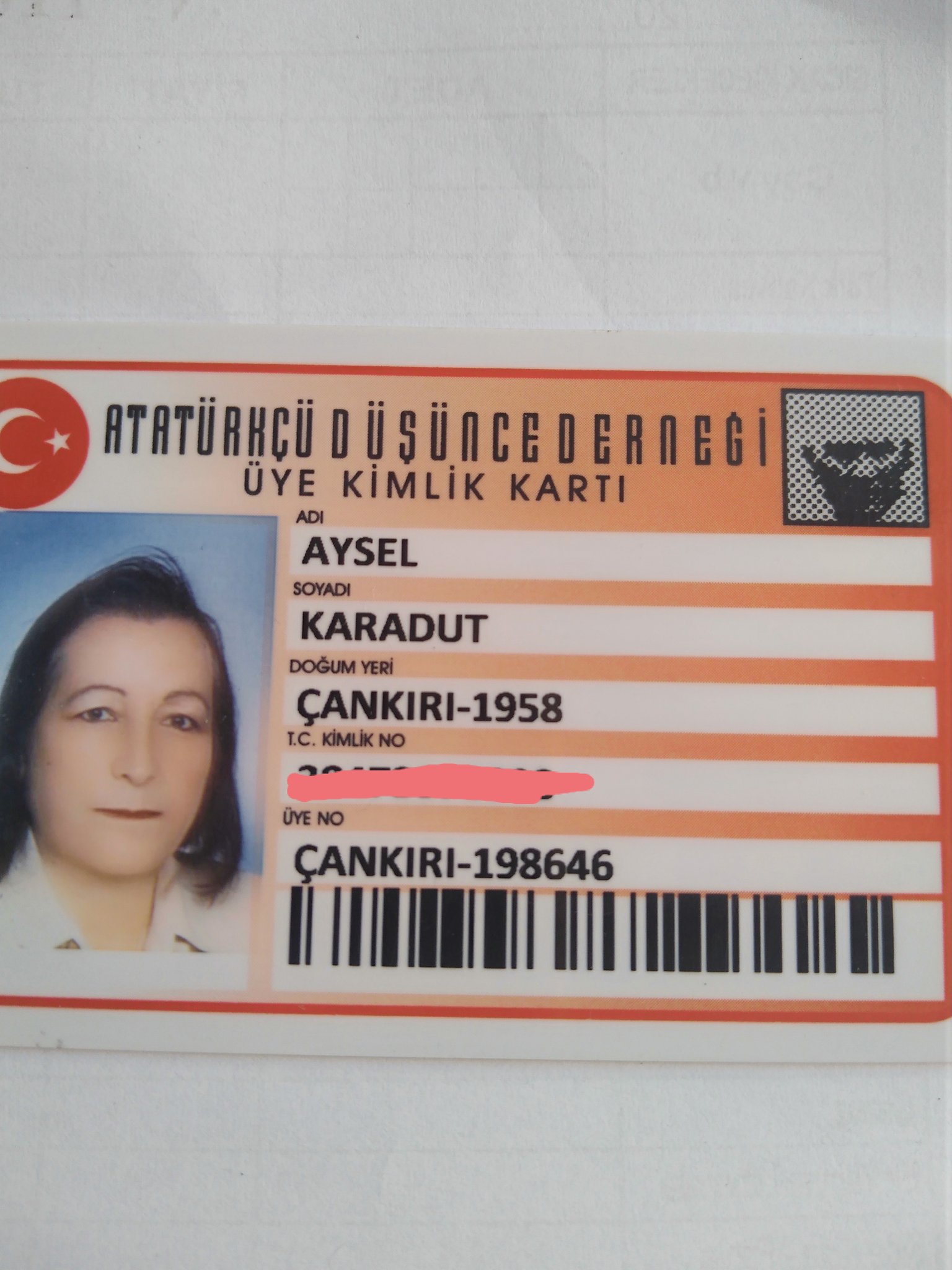 aysel karadut karadutaysel twitter