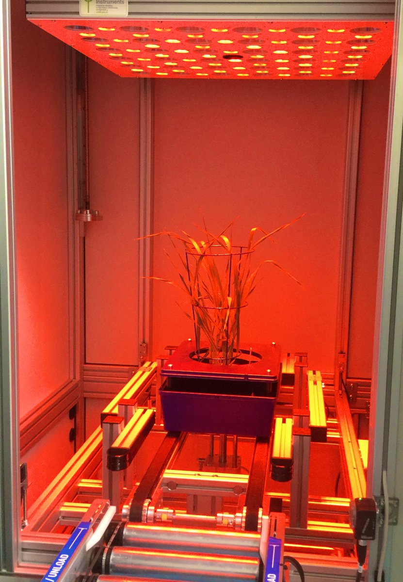 _Rosemount's tweet photo. Our new #plantimagingstation from #PSI is now installed @_Rosemount. The first of it’s kind in Ireland comprising 3 high resolution #cameras to record #plantimages in real time, @sonicanegrao and her team will be busy for a while! ##RGB #hyperspectral #chlorophyllfluorescence https://t.co/AMoHtbti8j