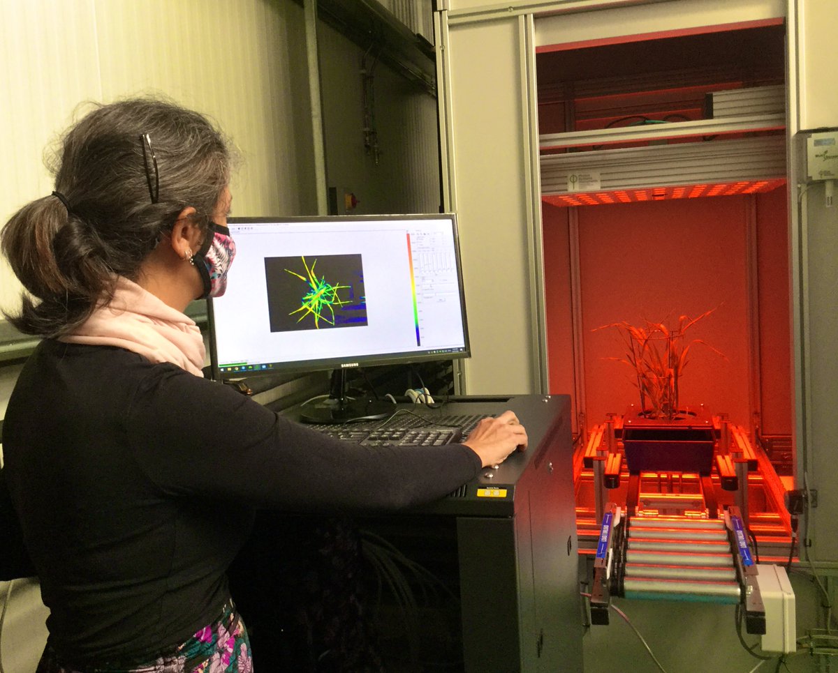 _Rosemount's tweet photo. Our new #plantimagingstation from #PSI is now installed @_Rosemount. The first of it’s kind in Ireland comprising 3 high resolution #cameras to record #plantimages in real time, @sonicanegrao and her team will be busy for a while! ##RGB #hyperspectral #chlorophyllfluorescence https://t.co/AMoHtbti8j