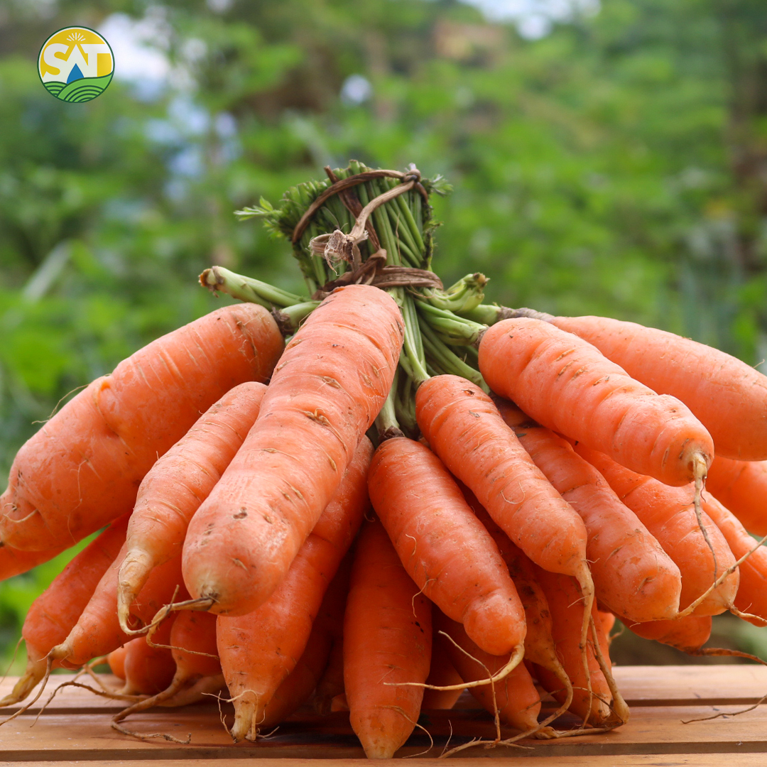 KilimoHai's tweet photo. Are you cooking this weekend?👨‍🍳🍳🍴

Pass by our SAT Shop and grab some 100% Organic &amp; 100% fresh products!

You won't regret it 😉 https://t.co/u3zyyyhQrU