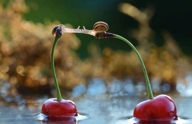 나쁜일도
좋은 일로 가는
길목이다

생각하면 돼요

힘든 일도
편한 일로 가는
과정이다

생각하면 돼요

그럼
그렇게 돼요

너무 걱정하지 말아요
모든일엔 과정이 필요하니까..