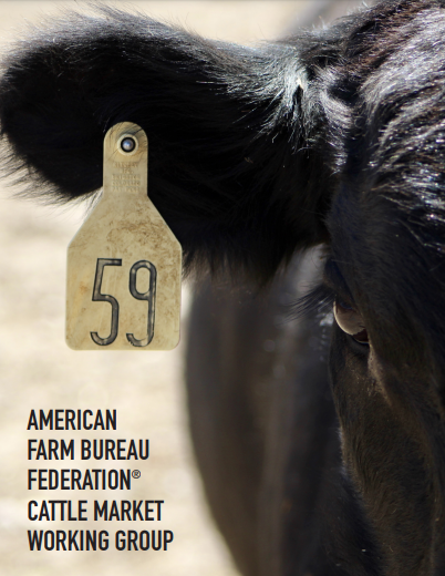 New10_AgEcon's tweet photo. 🔥🔥Straight FYRE from @NepveuxMichael and @scottrbenn on issues in #cattle markets @FarmBureau https://t.co/JGb2CMFcWZ https://t.co/gMr5IUDkgj