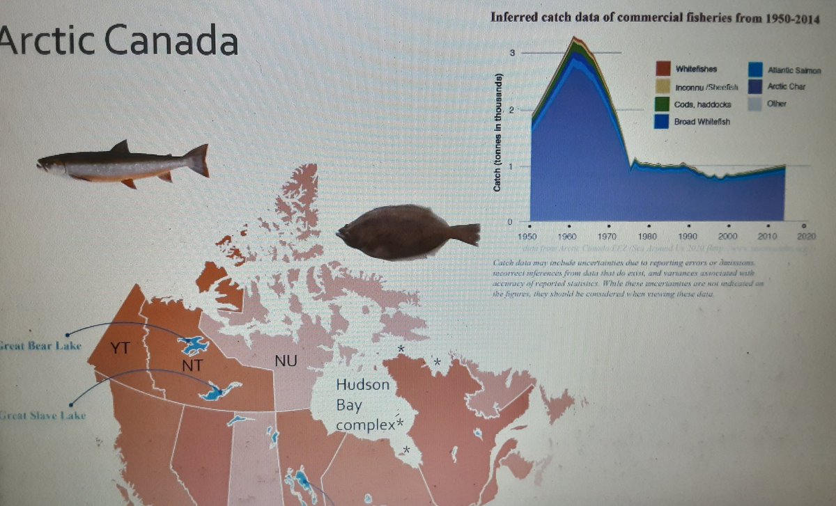 Salisbury_Fish's tweet photo. Always makes me happy to see my fav fish (sorry Halibut)! Great plenary by @Rowshyra for @CARSAFS at #AFSVirtual2020 giving us a national tour of Canadian fisheries. Excited to read your paper! https://t.co/Ixu1Tl57QF