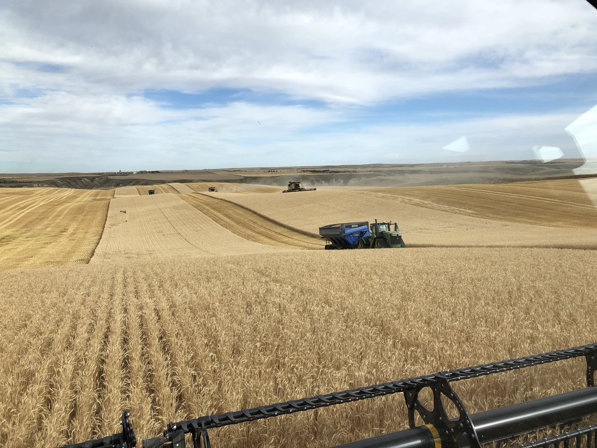 CropBell's tweet photo. View from my office window today!!! #fall #harvest20 #geterdone https://t.co/bG3SX5k6rJ