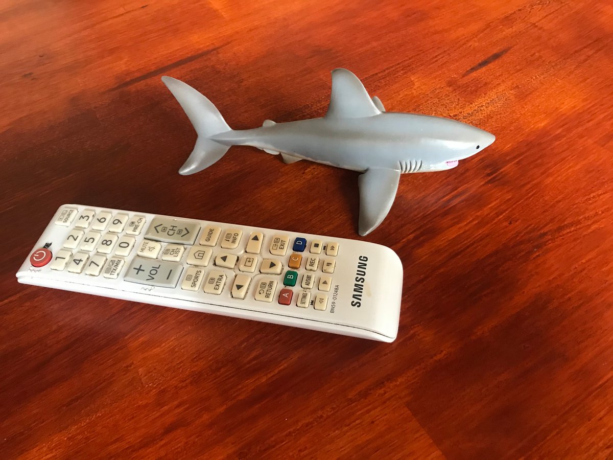 StormingElysium's tweet image. I keep seeing that stupid animated shark toy add everywhere; finally saw a set of people showing what they actually got when ordering it :p #robotshark #robotsharkscam